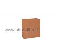 Шкаф для бумаг широкий низкий