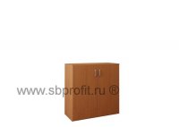 Шкаф для бумаг широкий низкий