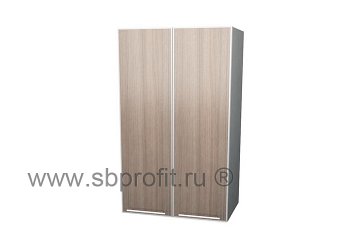 Шкаф двухдверный  55