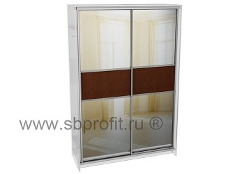 Двери для шкафа купе комб 1