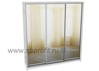 Двери для шкафа купе зеркальные