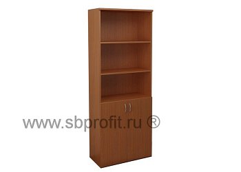 Шкаф для бумаг широкий полуоткрытыйытый