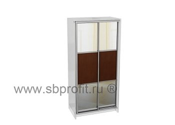 Двери для шкафа купе комб 1