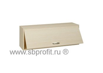 Полка навесная 120 с дверью откр вверх