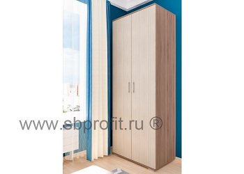 Шкаф распашной с полками и штангой